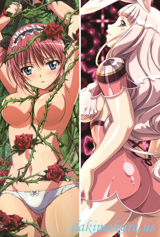 Queens Blade Dakimakura 3d anime pillow case